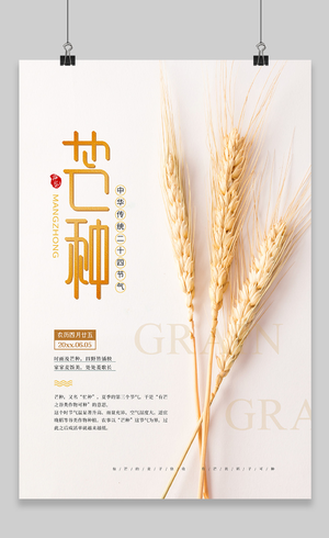 白色简约小麦二十四节气芒种宣传海报