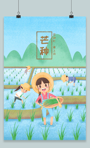 芒种节气水稻插秧插画海报