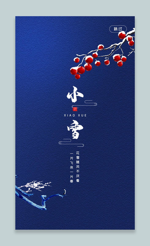 二十四节气小雪节气宣传ui手机海报