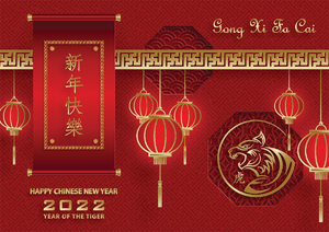 中国风虎年新年春节元旦剪纸风插画海报展板
