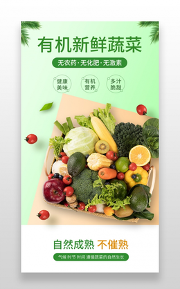绿色背景简约美味香菜夏季果蔬详情页蔬菜详情页
