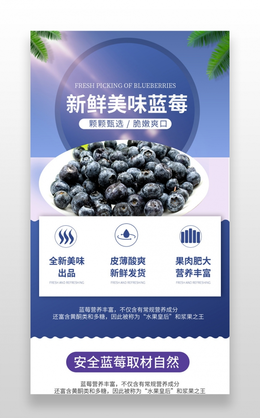淘宝简约生鲜水果蓝莓详情页素材